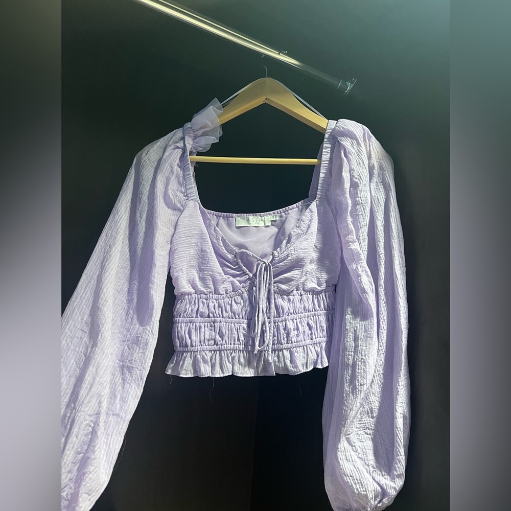 Astr small purple top